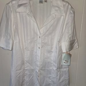 So Wearit declare it Blouse